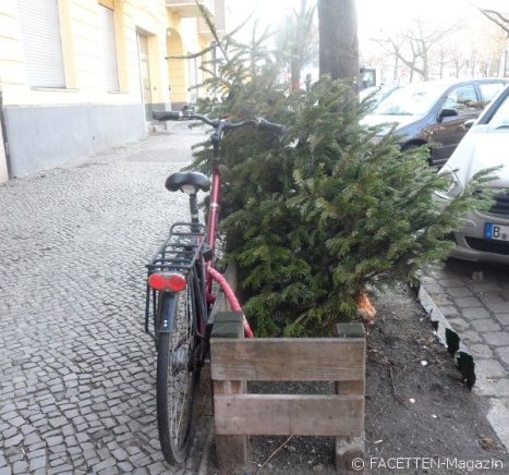 weihnachtsbaum-entsorgung_neukölln